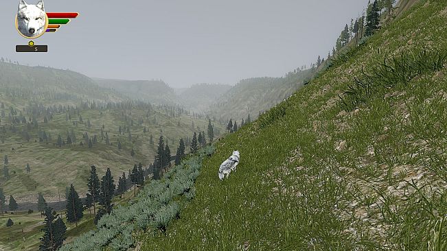WolfQuest Anniversary - Tower Fall