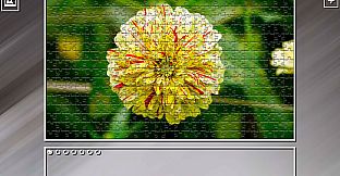 Super Jigsaw Puzzle: Generations - Flowers 2