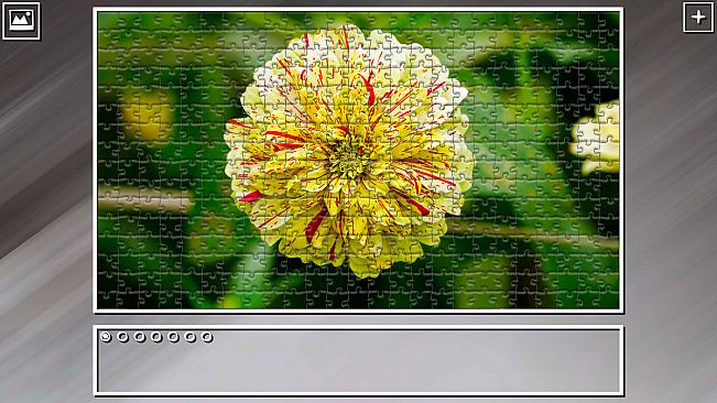Super Jigsaw Puzzle: Generations - Flowers 2