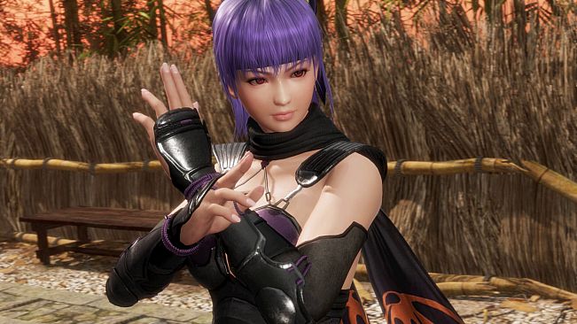 DEAD OR ALIVE 6 Last Round