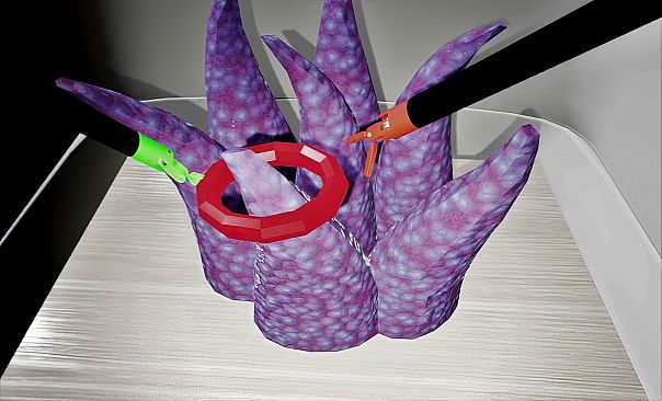 Marion Surgical Robot Game