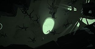 Chasing Shadows