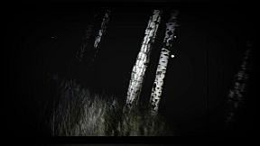 SHIRIME: The Curse of Butt-Eye