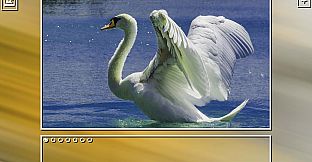 Super Jigsaw Puzzle: Generations - Birds Puzzles