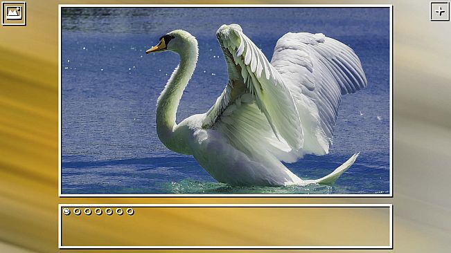 Super Jigsaw Puzzle: Generations - Birds Puzzles