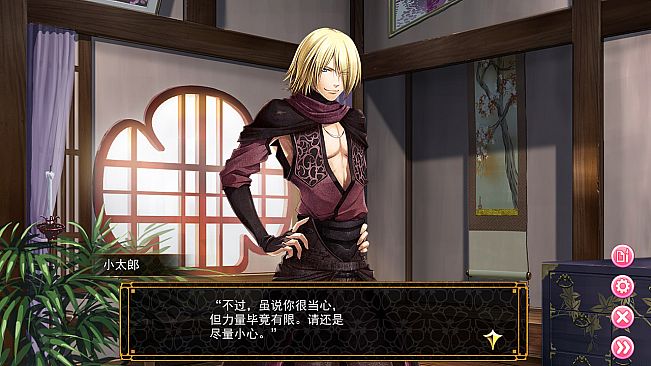 Destiny's Princess: A War Story, A Love Story