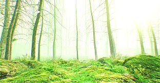 The Backrooms Deeper