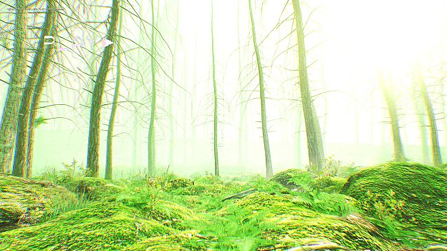 The Backrooms Deeper