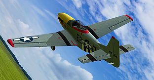 RealFlight Evolution - 2024 Year Content Pass