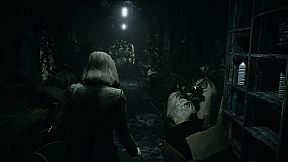 Remothered: Tormented Fathers