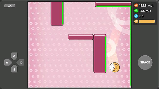 Meow Weight Loss Diary