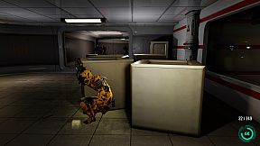 Shadow of the Matrix