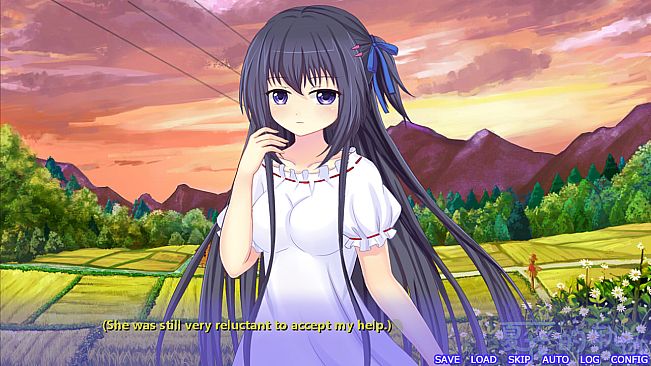 Trajectory of summer flower