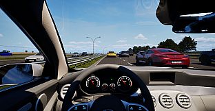 WorldDrive: Real Open-World Driving Simulator