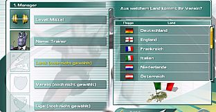 Team Manager - Football Manager FUN