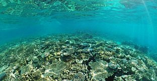 Coral Compass: Fighting Climate Change in Palau
