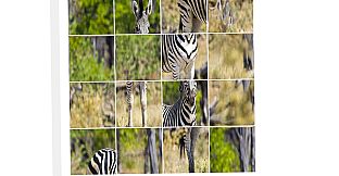 ZebraPuzzle.hgm