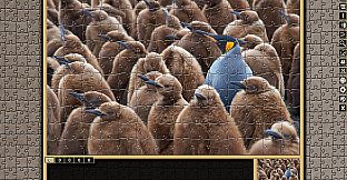 Pixel Puzzles Traditional Jigsaws Pack: Variety Pack XXS