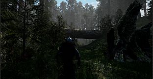 Einn