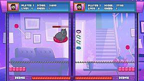 Cat Break Head to Head