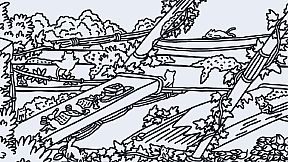 Hidden Cats In Fallen Leaves Town