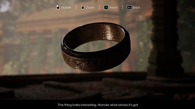 Cosmic Horizons: Path of the Wanderer