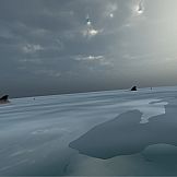 A Fear Of Heights, And Other Things