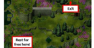 Official Guide - Millennium