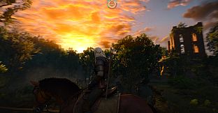 Immerse Gaming | HIVE