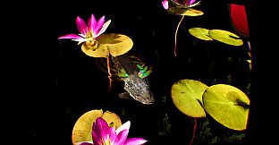Grenouilles 3D