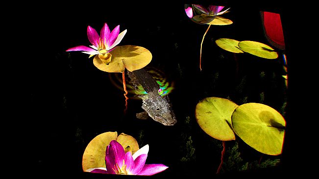 Grenouilles 3D