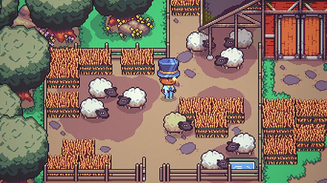 Discounty - Supporter Pack