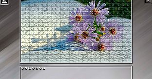 Super Jigsaw Puzzle: Generations - Random 8