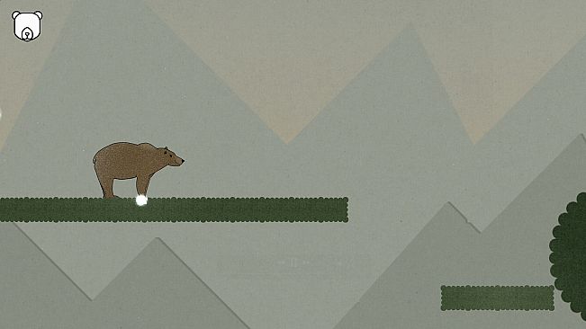 Mr Bear Goes to Washington