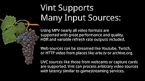 Vint: Realtime Video Interpolation and CRT Emulation
