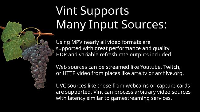 Vint: Realtime Video Interpolation and CRT Emulation