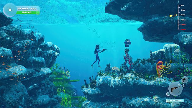 Dive and Dine Simulator