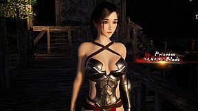 Princess&Blade