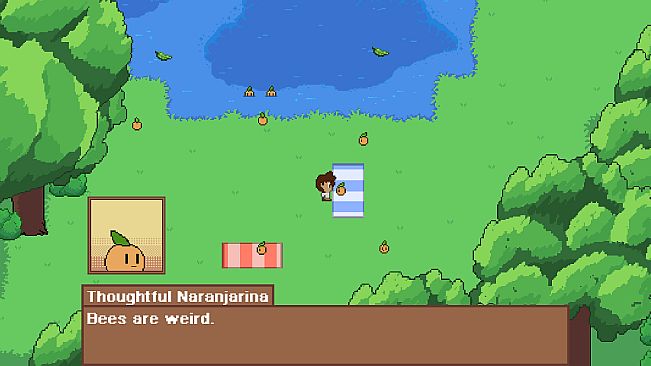 The Runemaster's Diary