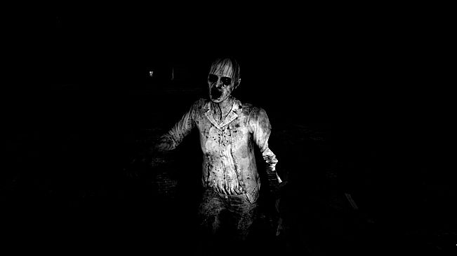 ASZG Project Director's Cut