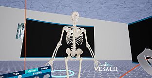 Vesalii Anatomy VR Student