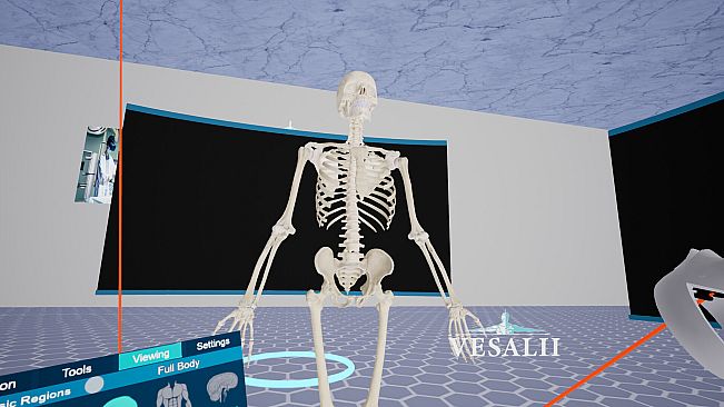 Vesalii Anatomy VR Student