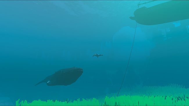 Enchanted Oceans Inc.