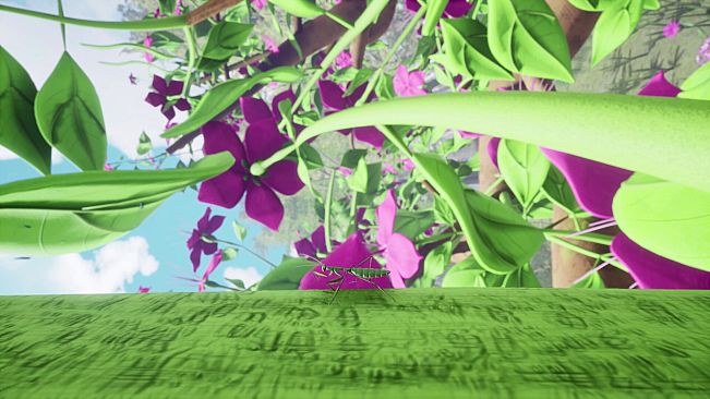 Nature And Life - Drunk On Nectar