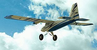 RealFlight Evolution - 2023 Year Content Pass