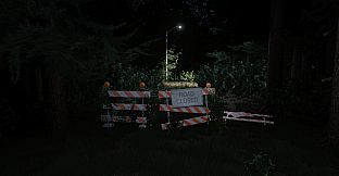 Darkness in the Forest