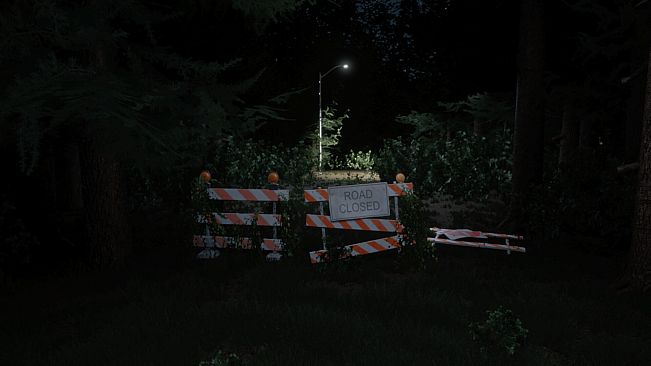 Darkness in the Forest