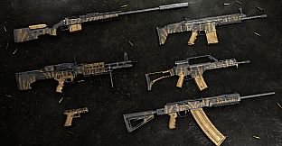 Insurgency: Sandstorm - Shell Shock Bundle
