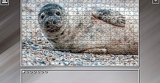 Super Jigsaw Puzzle: Generations - Random Animals 5