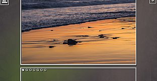 Super Jigsaw Puzzle: Generations - Beaches Puzzles